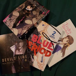 Manga Mystery Box
