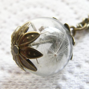 Real Dandelion Seed Necklace: Glass Orb, Antique Bronze Chain