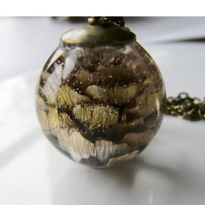 a resin orb shape with a pine cone inside with a bronze cap and chain
