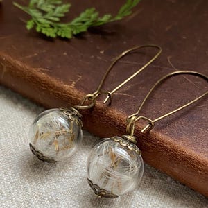 Dandelion Earrings in Glass, Real Seed Jewellery, Nature Gift for Her
