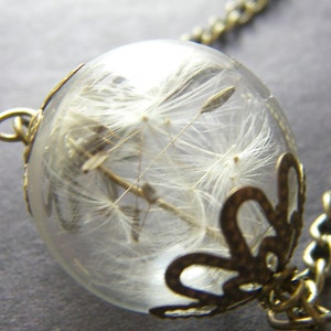 Dandelion Necklace, Dandelion Wishes, Glass Globe Pendant, Dried Flower, Wishesonthewind, Gift for Her, Bridal Jewelry image 2