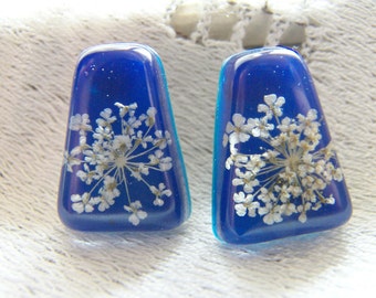 Flower Earrings, Real Flower Jewelry, Pressed Flower, Laceflower Earrings, Stud Earrings, Blue Flower Earrings, Gift for Her