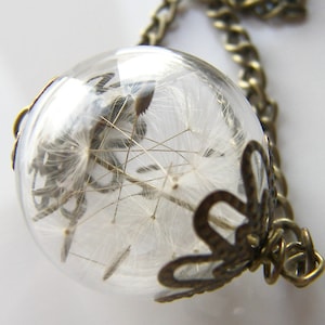 Dandelion Necklace, Dandelion Wishes, Glass Globe Pendant, Dried Flower, Wishesonthewind, Gift for Her, Bridal Jewelry image 1
