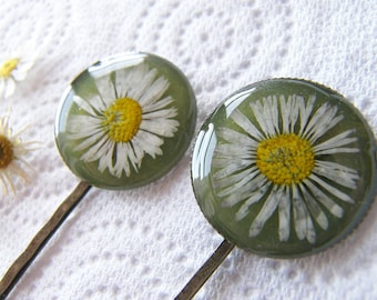 Pressed Daisy, Hair Pins,  Bobby Pin, Set of 2, Botanical, Woodland, Nature, Eco Friendly, Gift for Women, April Birth Flower