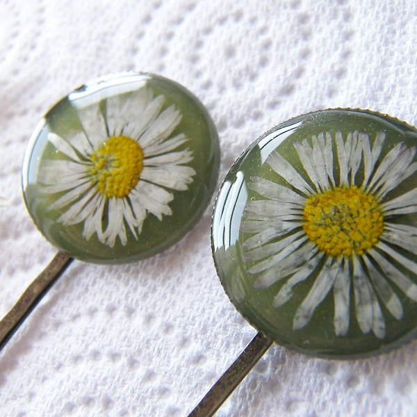 Pressed Daisy, Hair Pins,  Bobby Pin, Set of 2, Botanical, Woodland, Nature, Eco Friendly, Gift for Women, April Birth Flower, Nature Lover