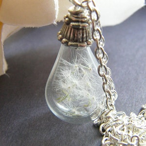 Dandelion Necklace, Hand Blown Glass Pendant, Fairy Necklace, Make a Wish, Bridesmaid Jewelry, Dandelion Jewelry, Handmade Jewellery image 1