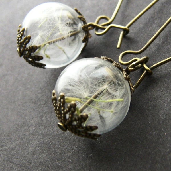 Dandelion Earrings in Glass, Real Seed Jewellery, Nature Gift for Her