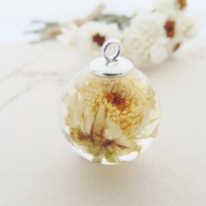 Puede incluir: Un collar con un colgante de plata y una esfera de vidrio transparente que contiene una flor blanca preservada. La flor es una flor seca delicada con un centro amarillo.