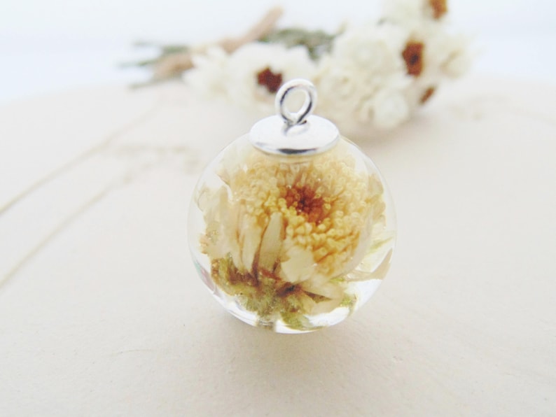 Puede incluir: Un collar con un colgante de plata y una esfera de vidrio transparente que contiene una flor blanca preservada. La flor es una flor seca delicada con un centro amarillo.
