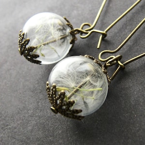 Real Dandelion Seed Earrings in Glass Spheres on Long Bronze Ear wires, Botanical Jewellery for Her, Nature Inspired, Birthday Gift for Mum