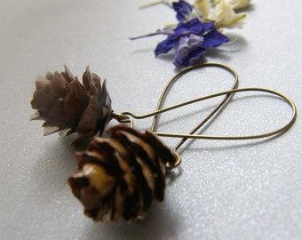 Bronze Pine Cone Earrings, Rustic Nature-Inspired Dangle Earrings, Botanical Jewellery Gift