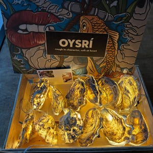 Op de afbeelding: Een houten kist bevat een lichtsnoer van oesterschelpen. De kist heeft een decoratief deksel met een ontwerp met een koikarper en lippen. De tekst op het deksel luidt "OYSRI rough in character, soft at heart."