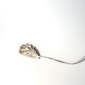 Op de afbeelding: Een natuurlijke oesterschelp bevestigd aan een zilverkleurige metalen steel. De schelp heeft een ruw, getextureerd oppervlak met tinten beige, bruin en grijs. De steel buigt tegen een witte achtergrond.