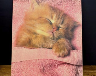 Wandbilderrahmen mit Katzenmotiv aus den 1980er-Jahren, laminierte MDF-Platte, schlafende rosa Katze, Kinderzimmerdeko, Retro-Dekoration