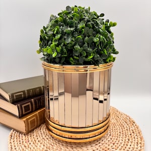 May include: A cylindrical planter with a mirrored finish and gold trim, filled with a vibrant green plant. The planter is placed on a woven mat. Several books are in the background, suggesting a home decor theme. The planter's height is approximately 25 cm.