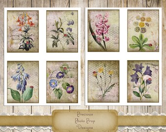 Junk Journals Vintage Grungy Cards Printable, Antique Botanical Lady Bugs Cards Download for Scrapbook, Florals and Insects Journal Cards