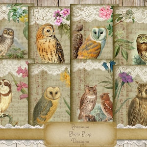 Owl Birds Printable for Junk Journal Scrapbooks and Planners, Digital Nature Postcards Journal Cards, Nature Forrest Vintage Ephemera