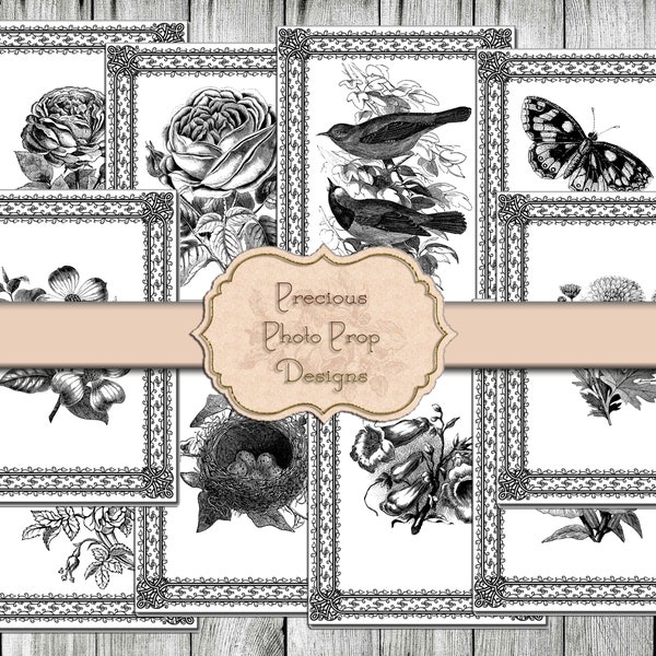 Nature Vintage Ephemera Printable for Junk Journals, Black and White Flower Birds Butterfly Cards Download for Scrapbook Planners Monochrome