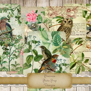 Nature Botanical Envelopes Vintage Printable for Junk Journals Planners Scrapbooks, Digital Ephemera Kit Envelopes, Vintage Birds Plants