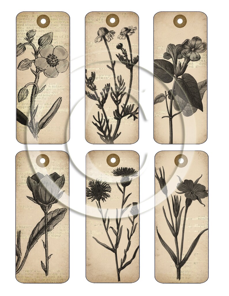 Vintage Botanical Ephemera Printable for Junk Journals, Digital Floral ...