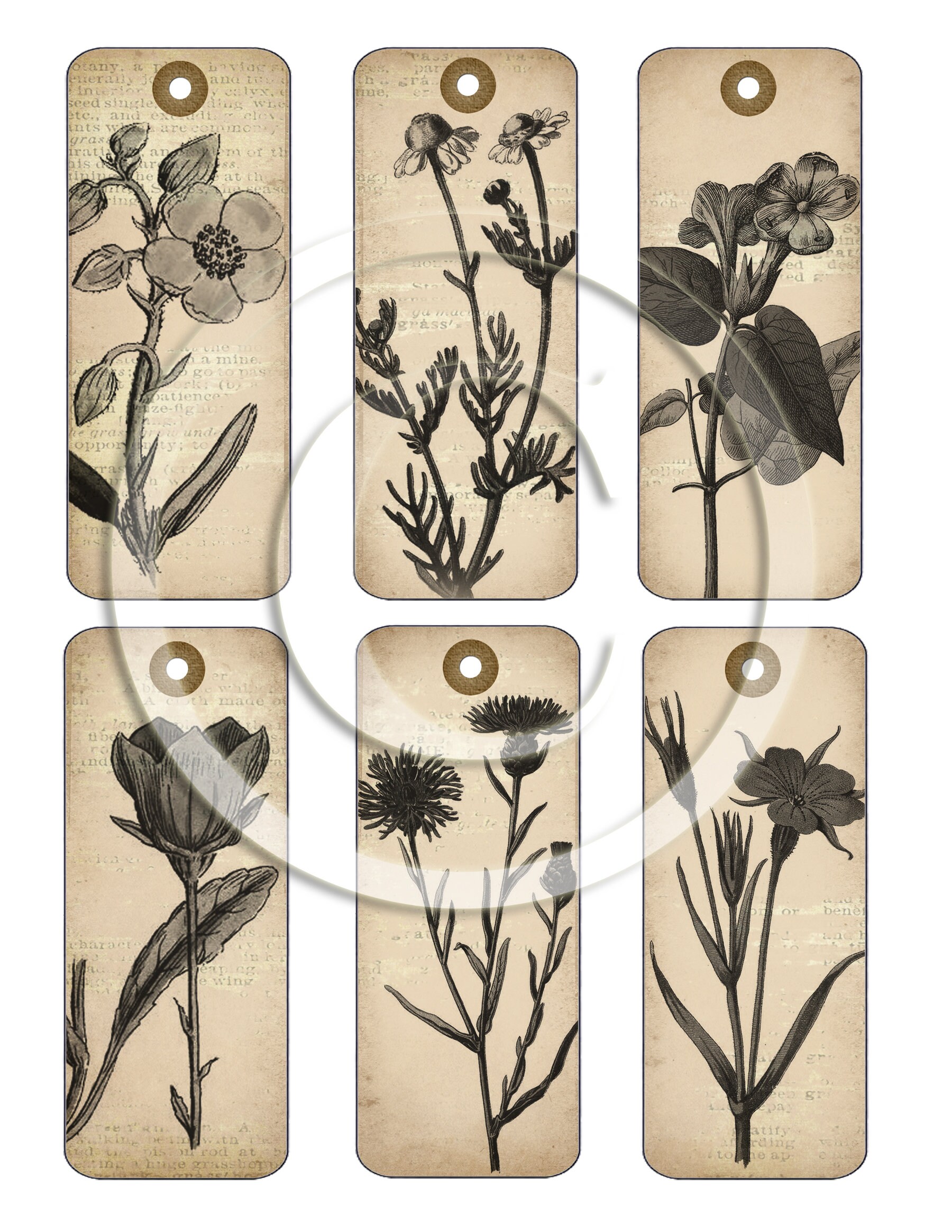 Vintage Botanical Ephemera Printable for Junk Journals, Digital Floral ...