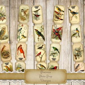 Vintage Birds Ephemera Billets Imprimables pour Junk Journals Planers and Scrapbooks, Nature Tickets, Birds Forrest Journal