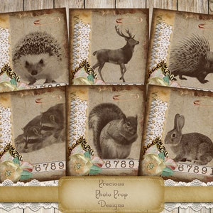 Nature Animals Printable for Junk Journal Scrapbooks and Planners, Fall Forrest Animals Postcards Journal Cards, Digital Vintage Ephemera