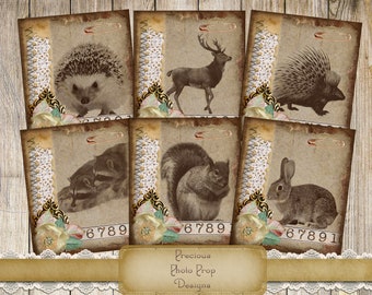 Nature Animals Printable for Junk Journal Scrapbooks and Planners, Fall Forrest Animals Postcards Journal Cards, Digital Vintage Ephemera