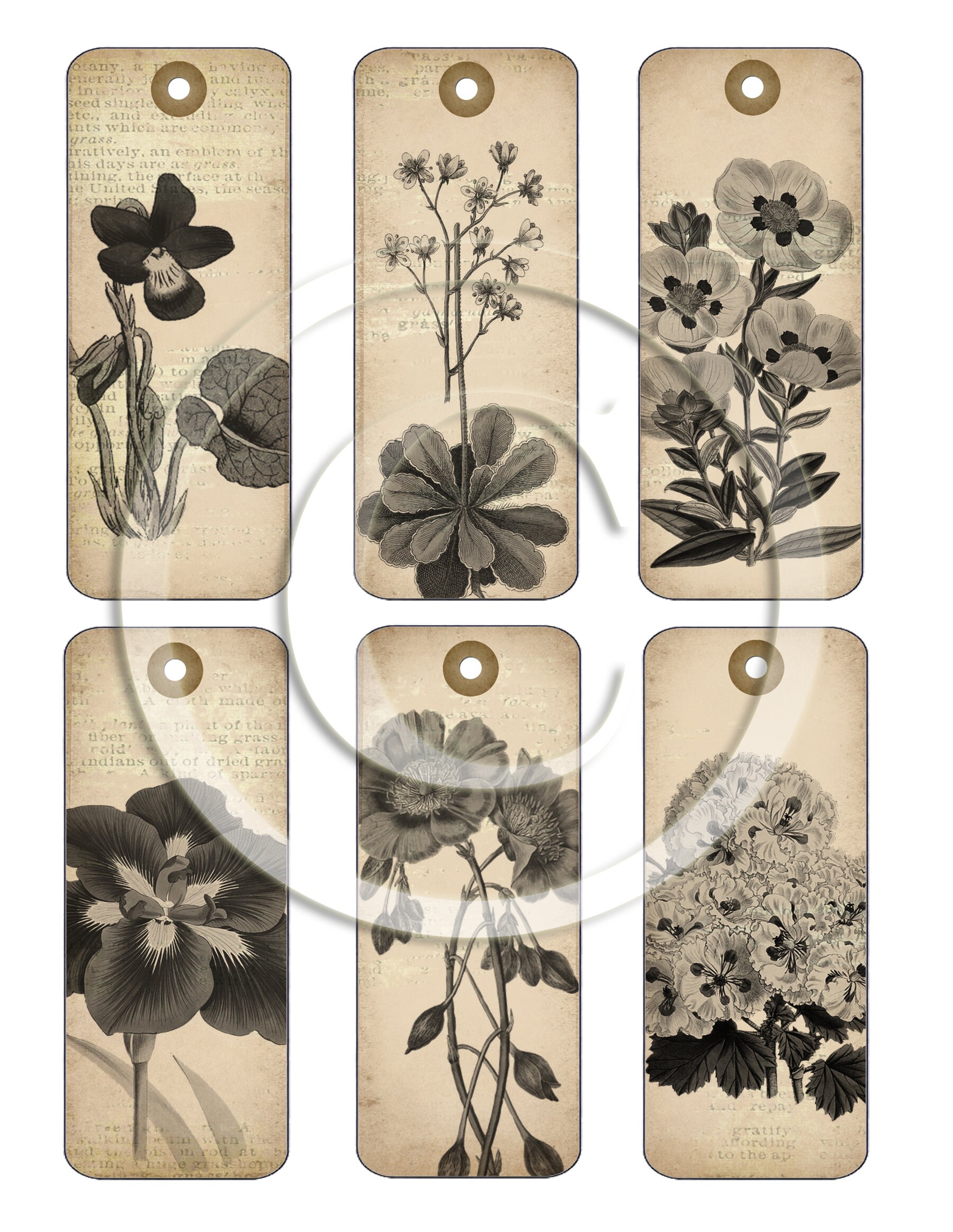 Vintage Botanical Ephemera Printable for Junk Journals, Digital Floral ...