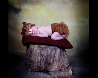 Baby Beaver Set, Newborn Photo Prop - Beaver Hat and Diaper Cover, Animal Hat, Crochet Beaver, Baby Photography, Baby Boy Prop