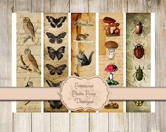 Vintage Ephemera Printable for Junk Journals, Vintage Nature Owls Butterfly Border Washi Tape Digital Scrapbook Download, Bugs Mushrooms