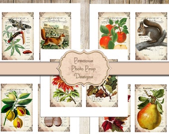 Printable Junk Journal Vintage Fall Ephemera Cards, Digital Autumn Journal Note Cards for Journals Planners Scrapbooks, Botanical Acorn