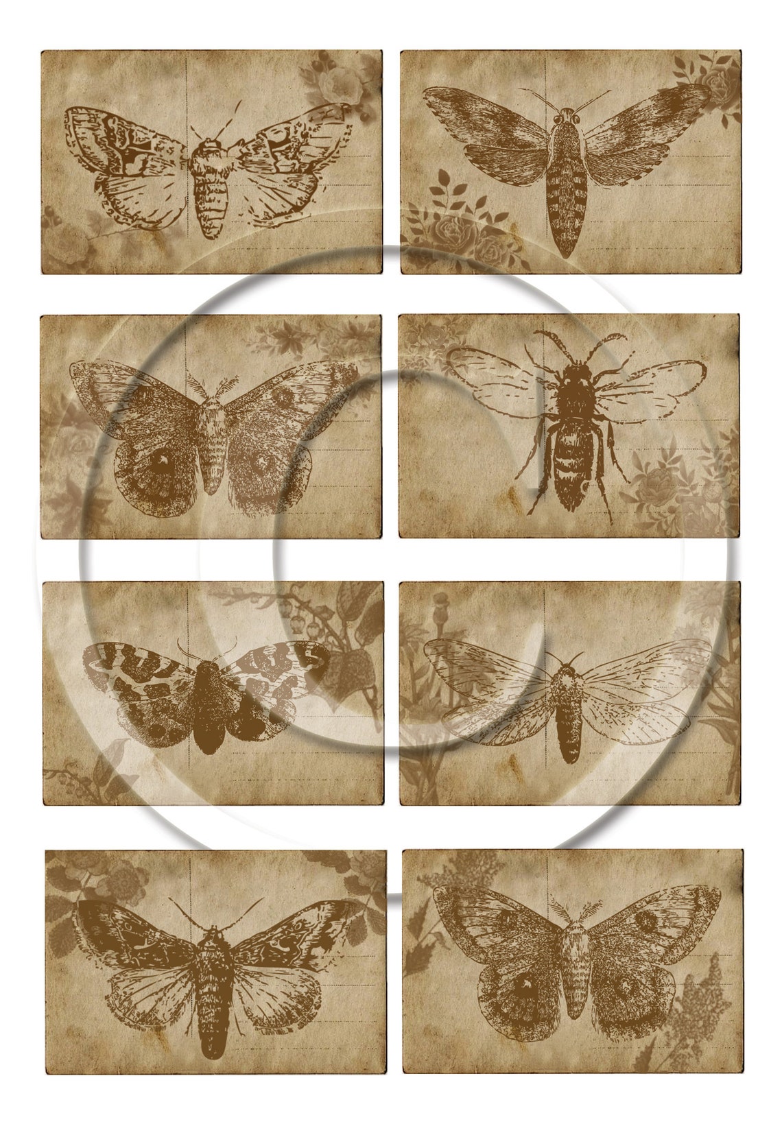 Vintage Moths Ephemera Printable for Junk Journals Digital | Etsy