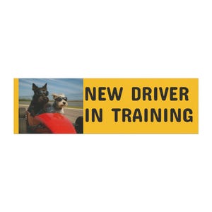 Student Driver in Training Car Magnets, Funny Car Decor, Dog Lover Gift, Driver Safety Sign, Unique Car Accessories