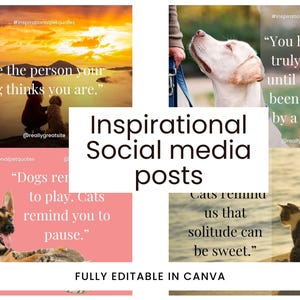 Könnte beinhalten: Eine Sammlung inspirierender Social-Media-Posts mit Bildern von Hunden und Katzen und Zitaten. Die Beiträge enthalten Texte wie "Sei die Person, für die dich dein Hund hält" und "Du hast erst wirklich gelebt, wenn du von einem Hund geliebt wurdest."