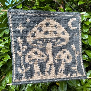 Midnight Mushrooms Tapestry Crochet Pattern / Wall Hanging / Home Decoration [PDF Download]