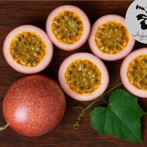 Organic Purple Passion Fruit 10 Seeds: Tropical Vine, Sweet Juicy Fruit