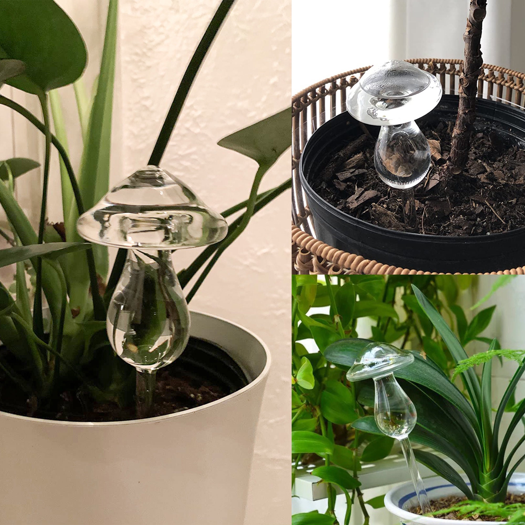 Imperius 2 Pack Indoor Self Plant Watering Globes,Colorful Glass Self