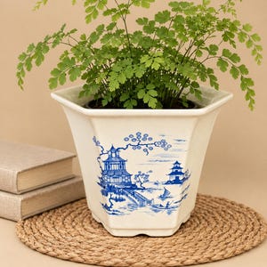 May include: A hexagonal off-white ceramic planter featuring a blue transferware-style landscape illustration of pagodas, a bridge, and a boat on the water. A vibrant green maidenhair fern with delicate, small leaves grows from the planter.