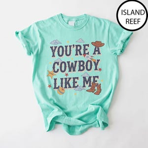 Puede incluir: Una camiseta de manga corta color verde menta con el texto "YOU'RE A COWBOY LIKE ME" en letras azul oscuro. El dise&ntilde;o incluye ilustraciones de un sombrero de vaquero marr&oacute;n, un cohete, una estrella de sheriff amarilla, una pelota y botas.