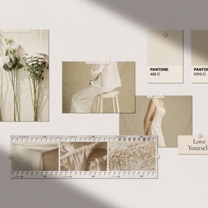5 Mood Board Mockups Bundle, 5 Realistic PSD Templates, Aesthetic Branding Presentation, Pantone Swatch Mockup, Polaroid Mockup, Note Mockup