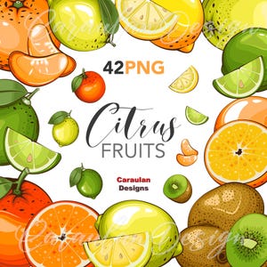 FRUITS Clipart, Fruit Graphics, Fruits Scrapbook Design, Farmers Market PNG, Fruit Clipart, Tropical Fruits PNG, Food clipart, Citrus Fruits