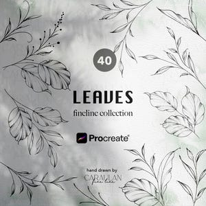 Può includere: Una collezione di arte digitale con 40 illustrazioni di foglie disegnate a mano in uno stile a linea sottile. La parola "LEAVES" è visualizzata in lettere grandi e in grassetto, con "fineline collection" sotto. È visibile anche il logo Procreate.