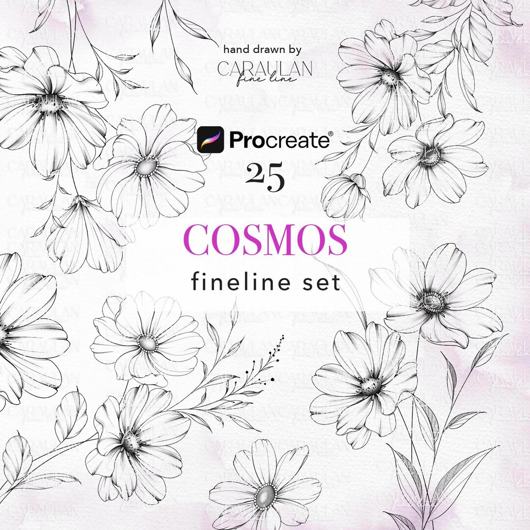 Cosmos Procreate Stamps: Fine Line Floral Tattoo Brush Set (25 Stamps ...