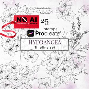 May include: A digital collection of 25 black and white hydrangea fineline stamps for Procreate. The image features hand-drawn floral illustrations, text reading 'hand drawn by CARAULAN fine line', '25 stamps', 'Procreate', and 'HYDRANGEA fineline set'.
