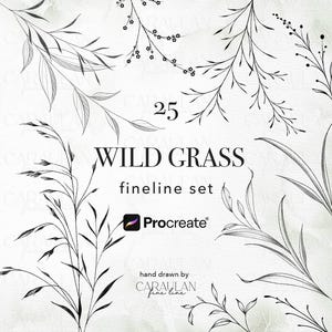 May include: A digital art set featuring 25 hand-drawn fineline illustrations of wild grass. The design includes delicate black and white botanical elements, with the text "WILD GRASS fineline set" and the Procreate logo.