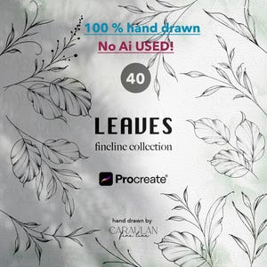 May include: A digital art collection featuring 40 hand-drawn leaf illustrations in a fine-line style. The image includes the text "LEAVES fineline collection", "100% hand drawn", and "No Ai USED!" with the Procreate logo.