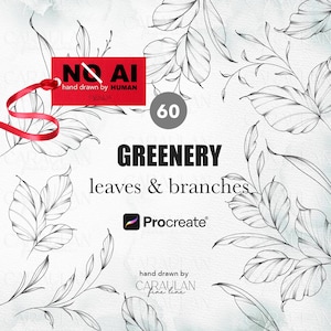 Puede incluir: Una colección digital de 60 hojas y ramas verdes para Procreate. La imagen presenta ilustraciones de líneas negras de follaje sobre un fondo blanco con una etiqueta roja que dice NO AI hand drawn by HUMAN y el texto CARAULAN fine line.