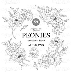以下が含まれることがあります： 様々なピオニーの花の配置と個々の花を描いた、白黒の手描きのラインアートイラストのコレクション。中央のテキストには「59 PEONIES hand drawn line art AI, SVG, PNG」と書かれており、白い背景に配置されています。