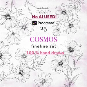 May include: A black and white floral design featuring cosmos flowers, with text including "hand drawn by CARAULAN fine line", "No Ai USED!", "Procreate", "25", "COSMOS fineline set", and "100% hand drawn".